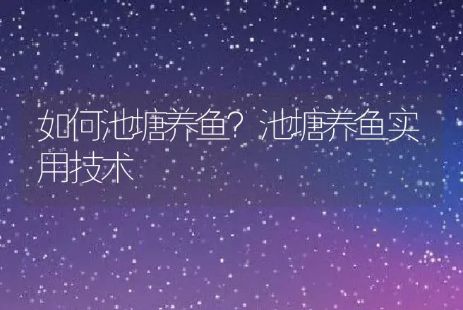 如何池塘养鱼？池塘养鱼实用技术 | 水产知识