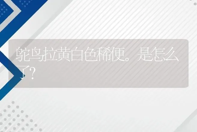 鸵鸟拉黄白色稀便。是怎么了? | 动物养殖