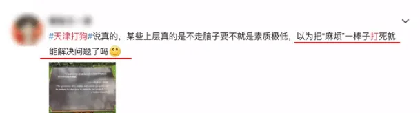 天津养犬新规一刀切，“个子大”的狗连活着的权利都没有！ | 宠物政策法规