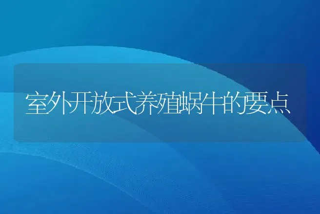 室外开放式养殖蜗牛的要点 | 动物养殖