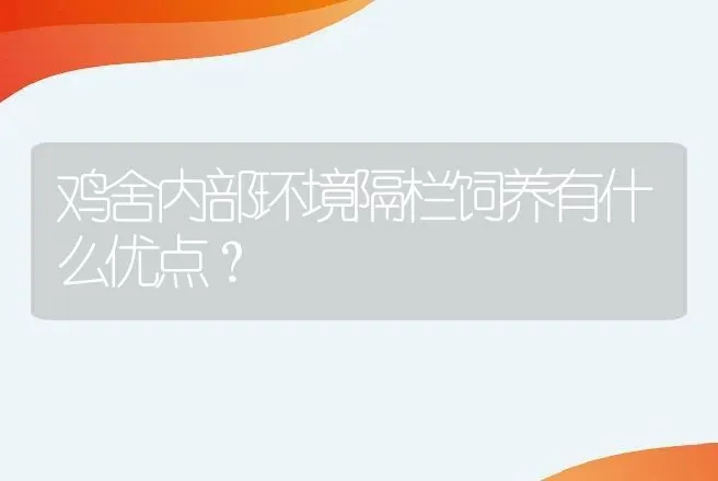 鸡舍内部环境隔栏饲养有什么优点？ | 家禽养殖