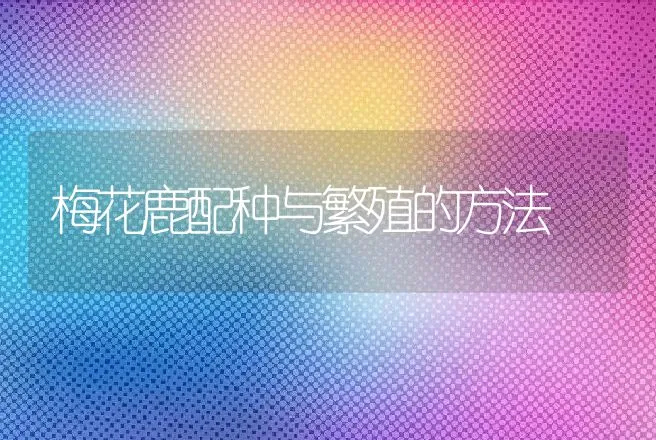 梅花鹿配种与繁殖的方法 | 特种养殖