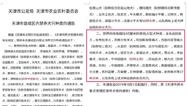 天津养犬新规一刀切，“个子大”的狗连活着的权利都没有！ | 宠物政策法规