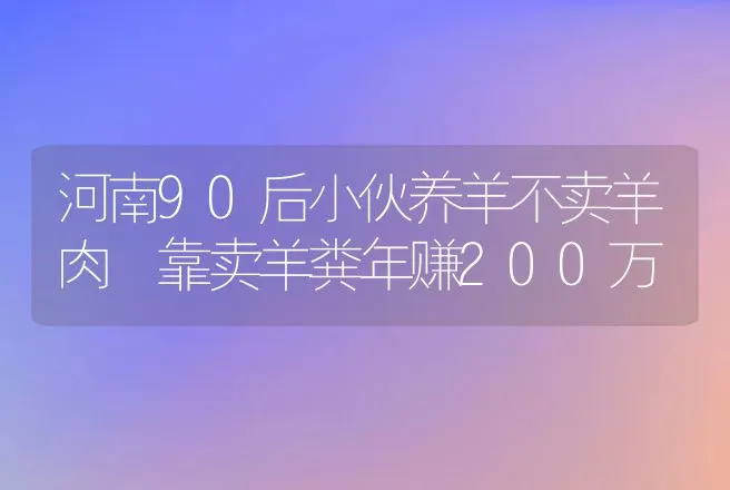 河南90后小伙养羊不卖羊肉 靠卖羊粪年赚200万 | 养殖致富