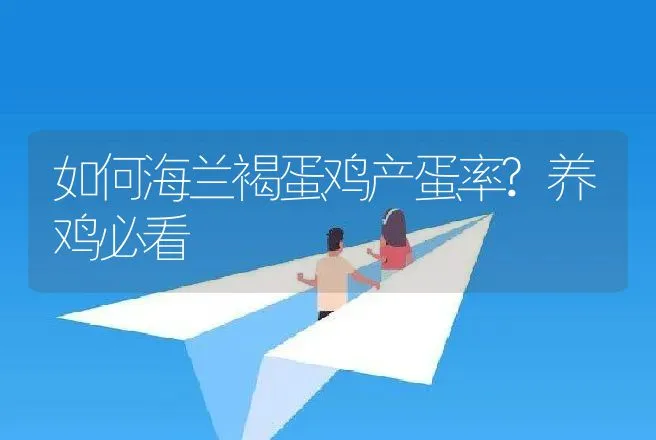 如何海兰褐蛋鸡产蛋率?养鸡必看 | 家禽养殖