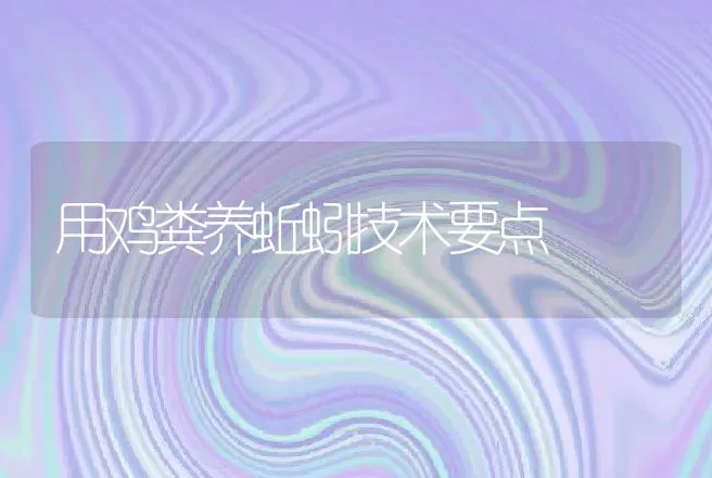 用鸡粪养蚯蚓技术要点 | 特种养殖