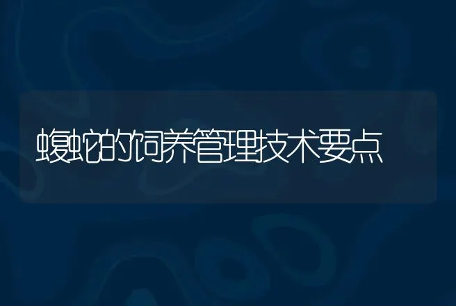 蝮蛇的饲养管理技术要点 | 动物养殖