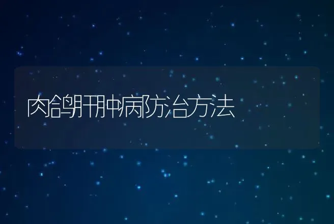 对一例黄牛非传染性流产的处理 | 动物养殖