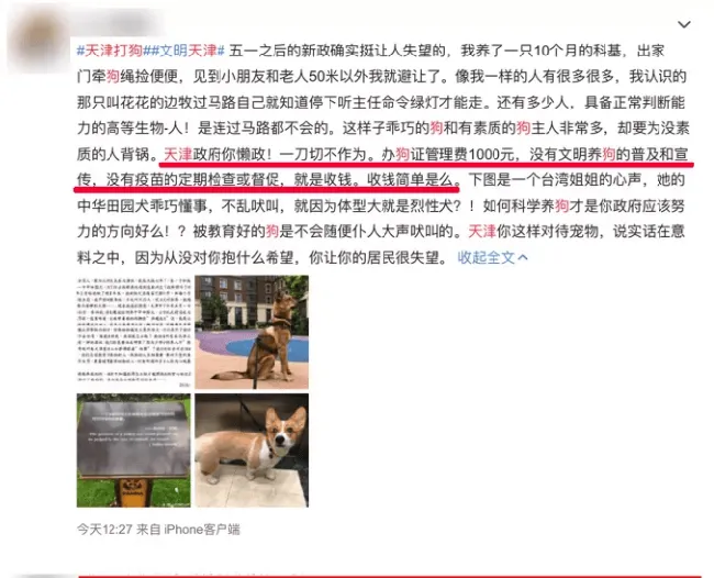 天津养犬新规一刀切，“个子大”的狗连活着的权利都没有！ | 宠物政策法规