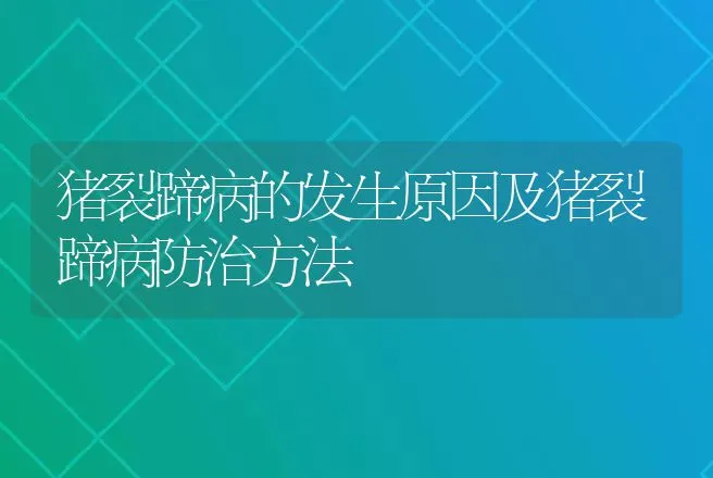 猪裂蹄病的发生原因及猪裂蹄病防治方法 | 动物养殖