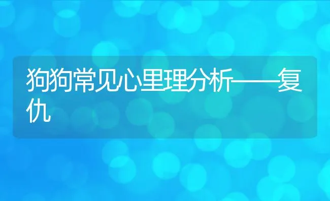 狗狗常见心里理分析——复仇 | 宠物猫