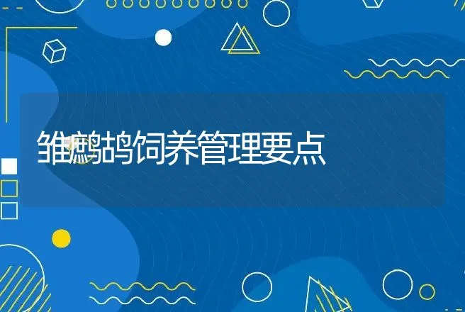 雏鹧鸪饲养管理要点 | 动物养殖