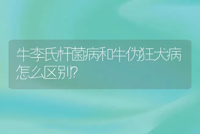 牛李氏杆菌病和牛伪狂犬病怎么区别？ | 家畜养殖