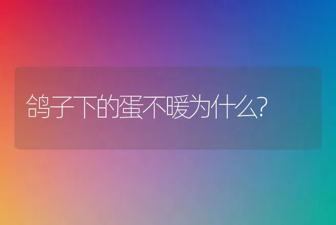 鸽子下的蛋不暖为什么? | 动物养殖