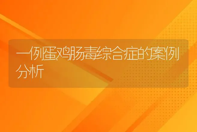 一例蛋鸡肠毒综合症的案例分析 | 兽医知识大全