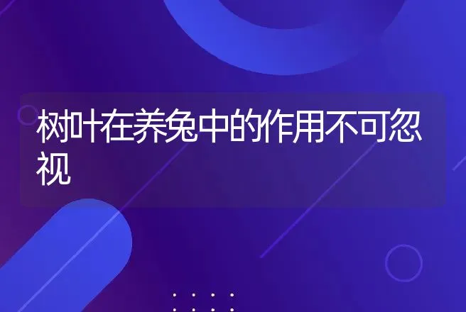 树叶在养兔中的作用不可忽视 | 动物养殖