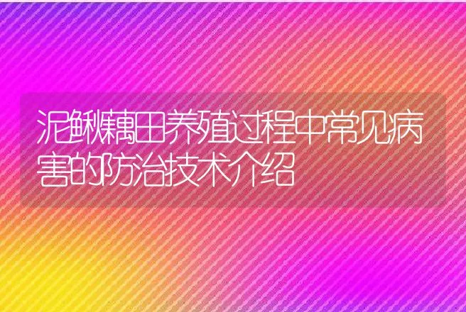 泥鳅藕田养殖过程中常见病害的防治技术介绍 | 水产知识