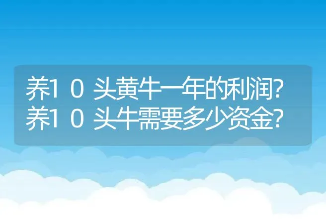 养10头黄牛一年的利润？养10头牛需要多少资金？ | 养殖致富