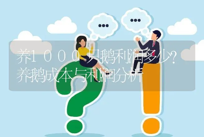 养1000只鹅利润多少？养鹅成本与利润分析 | 家禽养殖