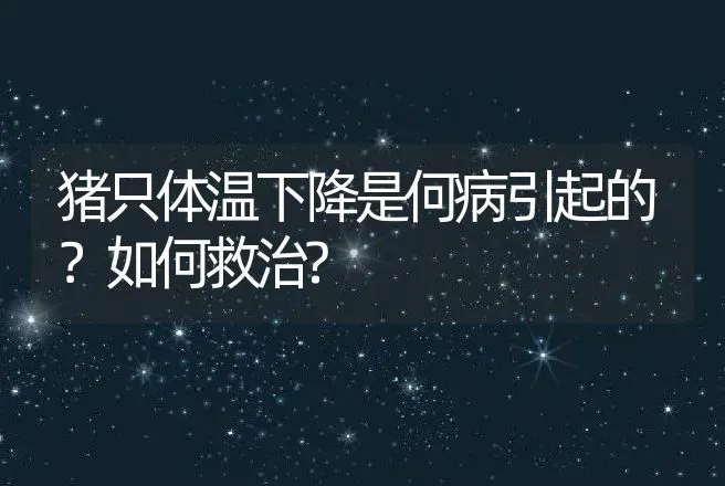 猪只体温下降是何病引起的？如何救治? | 家畜养殖