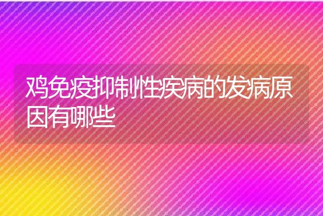 鸡免疫抑制性疾病的发病原因有哪些 | 兽医知识大全