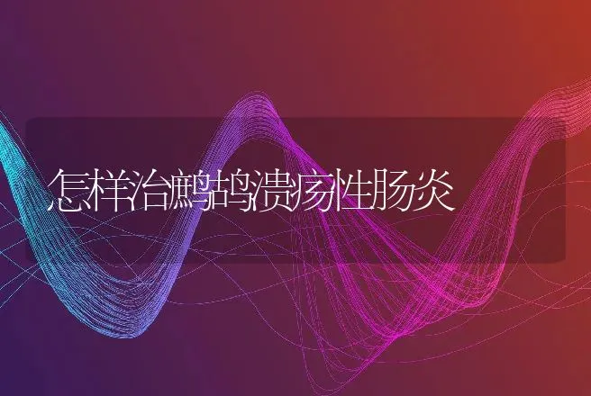 怎样治鹧鸪溃疡性肠炎 | 动物养殖