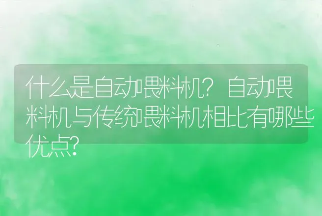 什么是自动喂料机？自动喂料机与传统喂料机相比有哪些优点? | 动物养殖