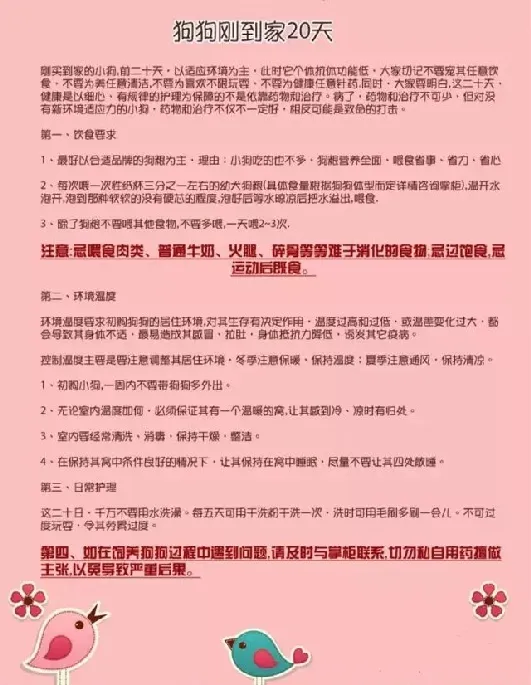 【琳琅犬舍】琳琅犬舍怎么样，有健康保障吗？ | 宠物新闻资讯