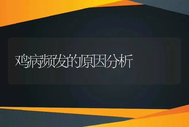 鸡病频发的原因分析 | 动物养殖