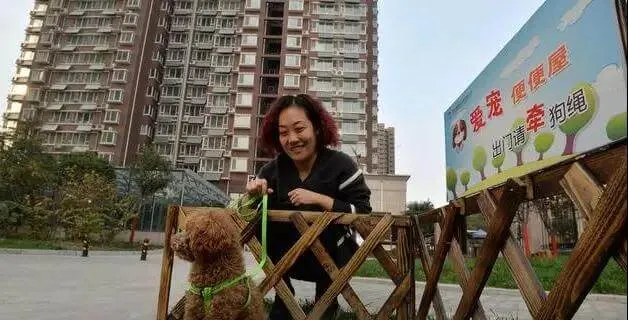 全面取消养犬管理费用，是一步三赢的妙棋！ | 宠物政策法规