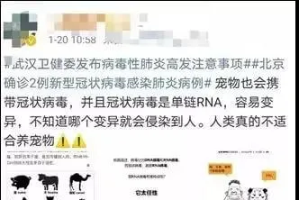 新型冠状病毒疫情，宠物拒绝背锅! | 宠物新闻资讯