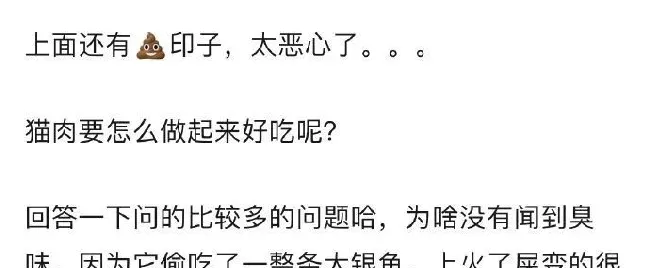 猫咪把米桶当猫砂盆，埋得太深几天后才发现！怎样教育做坏事的猫 | 宠物训练技巧