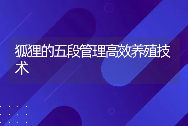 狐狸的五段管理高效养殖技术 | 动物养殖