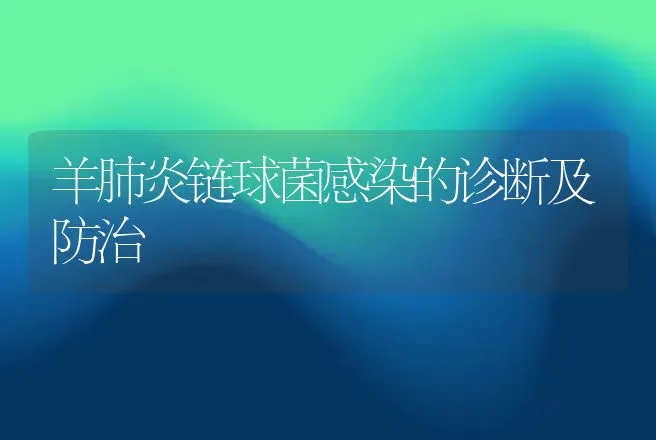 羊肺炎链球菌感染的诊断及防治 | 家畜养殖