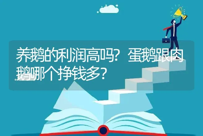 养鹅的利润高吗?蛋鹅跟肉鹅哪个挣钱多？ | 养殖致富