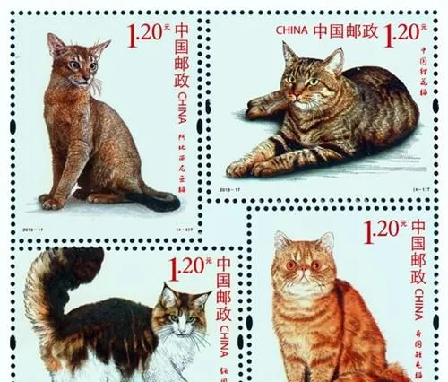 猫邮票赏析 | 宠物喂养知识