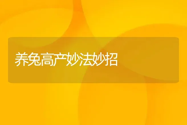 养兔高产妙法妙招 | 动物养殖