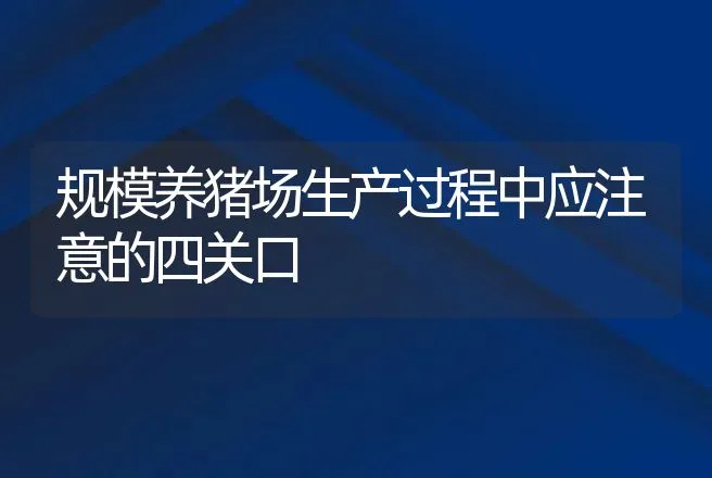 规模养猪场生产过程中应注意的四关口 | 家畜养殖