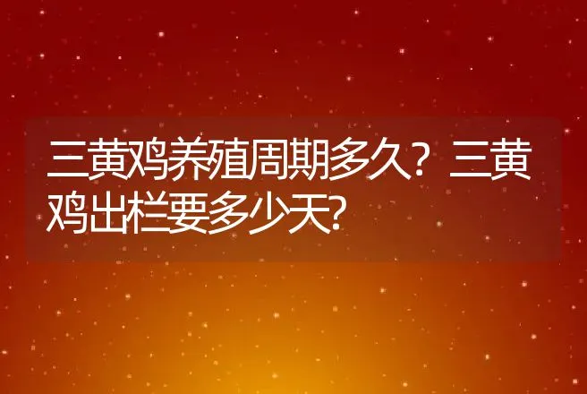 猪病毒性发烧肺炎症状及治疗？ | 兽医知识大全