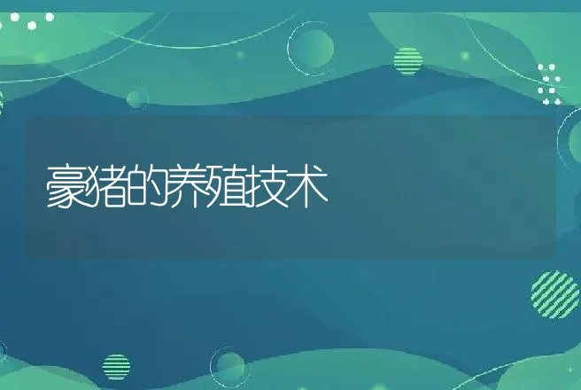 豪猪的养殖技术 | 特种养殖