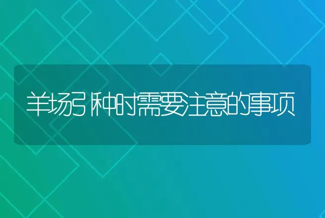 羊场引种时需要注意的事项 | 动物养殖