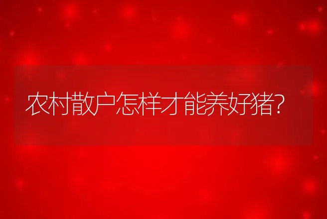 农村散户怎样才能养好猪？ | 家畜养殖