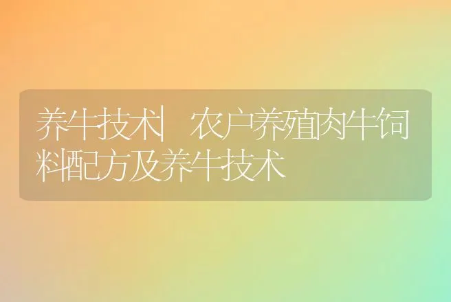 养牛技术|农户养殖肉牛饲料配方及养牛技术 | 家畜养殖