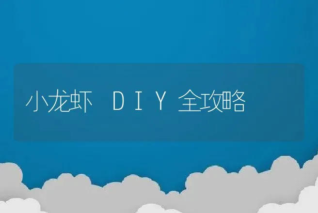 小龙虾 DIY全攻略 | 动物养殖