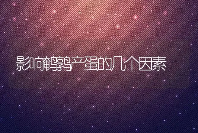 影响鹌鹑产蛋的几个因素 | 动物养殖