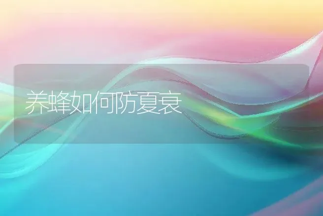 养蜂如何防夏衰 | 动物养殖