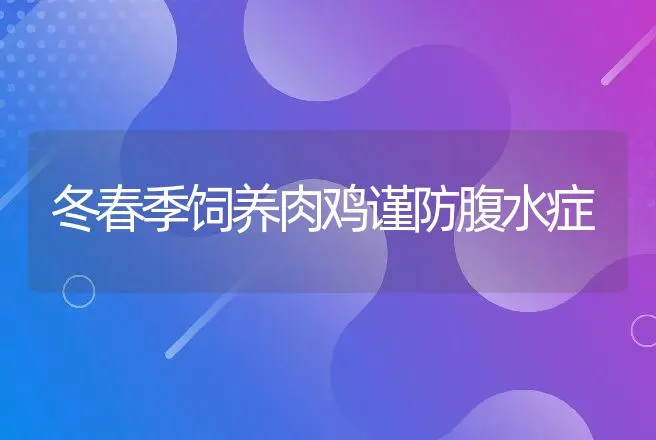 冬春季饲养肉鸡谨防腹水症 | 动物养殖