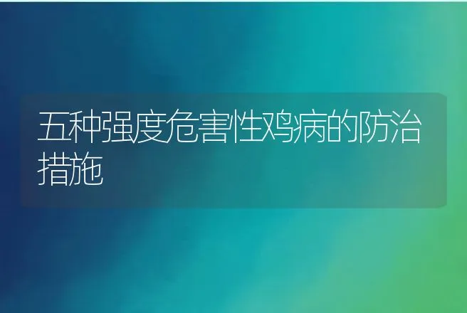 鸡球虫病：药物治疗要慎重 | 动物养殖