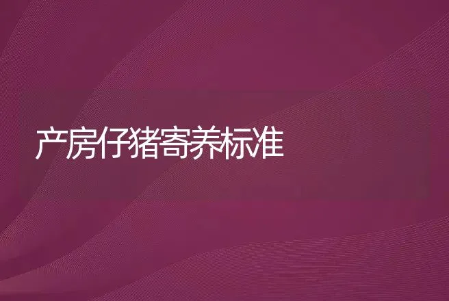 产房仔猪寄养标准 | 动物养殖