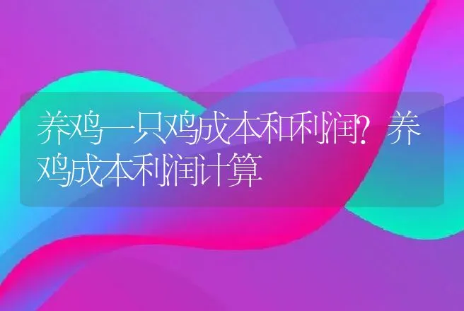 养鸡一只鸡成本和利润？养鸡成本利润计算 | 养殖致富